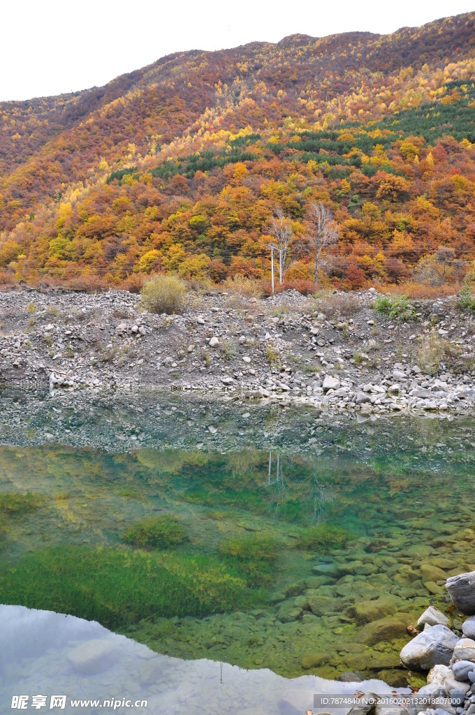 黑水彩林