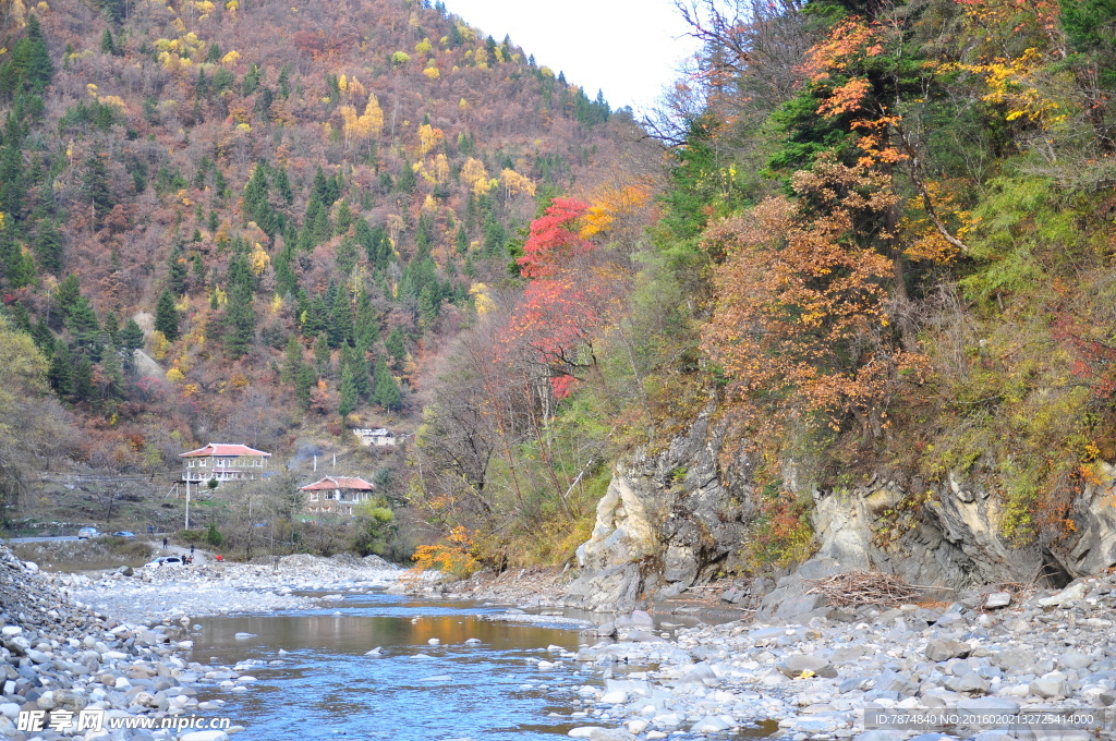 四川旅游  黑水彩林