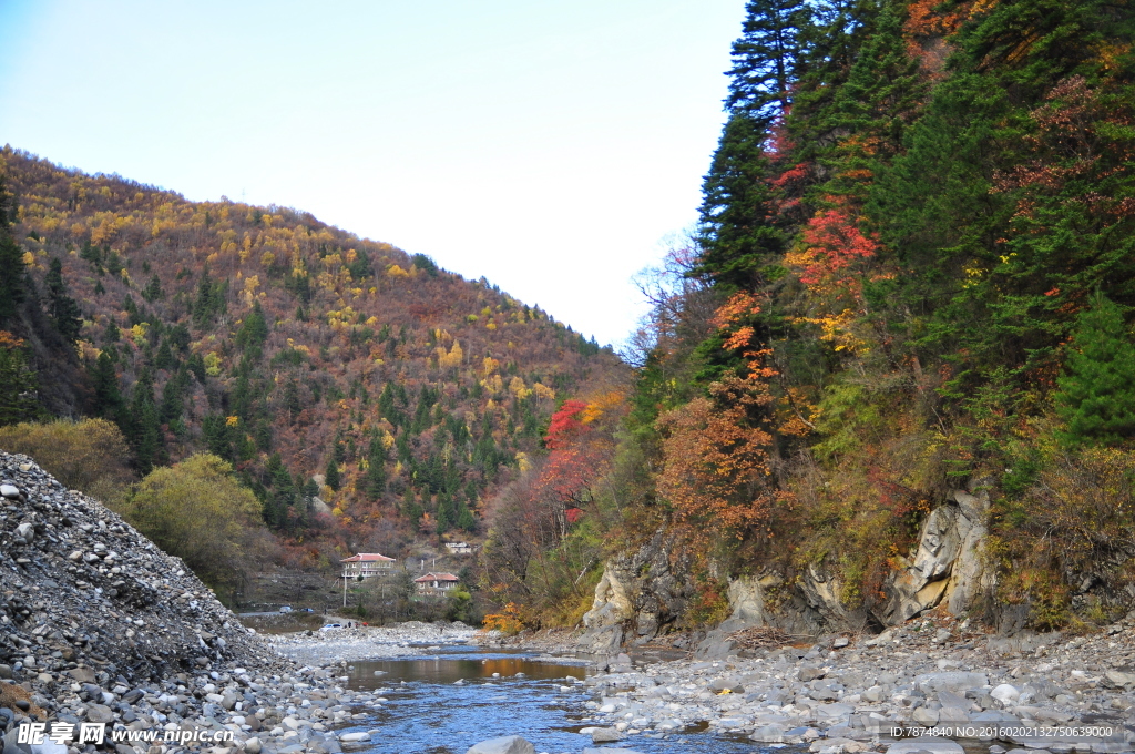 四川旅游  黑水彩林