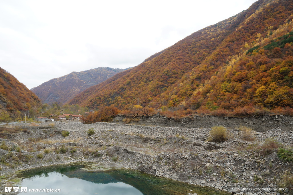 四川旅游  黑水彩林