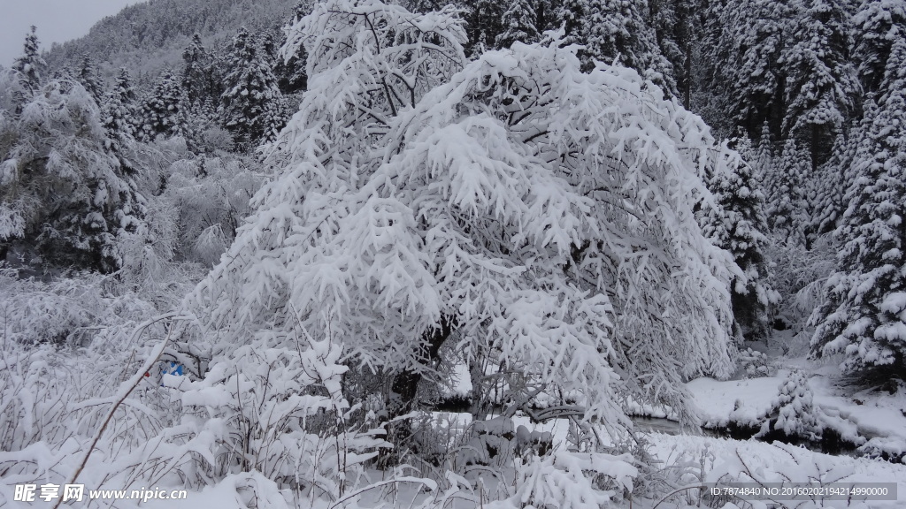 老君沟雪景