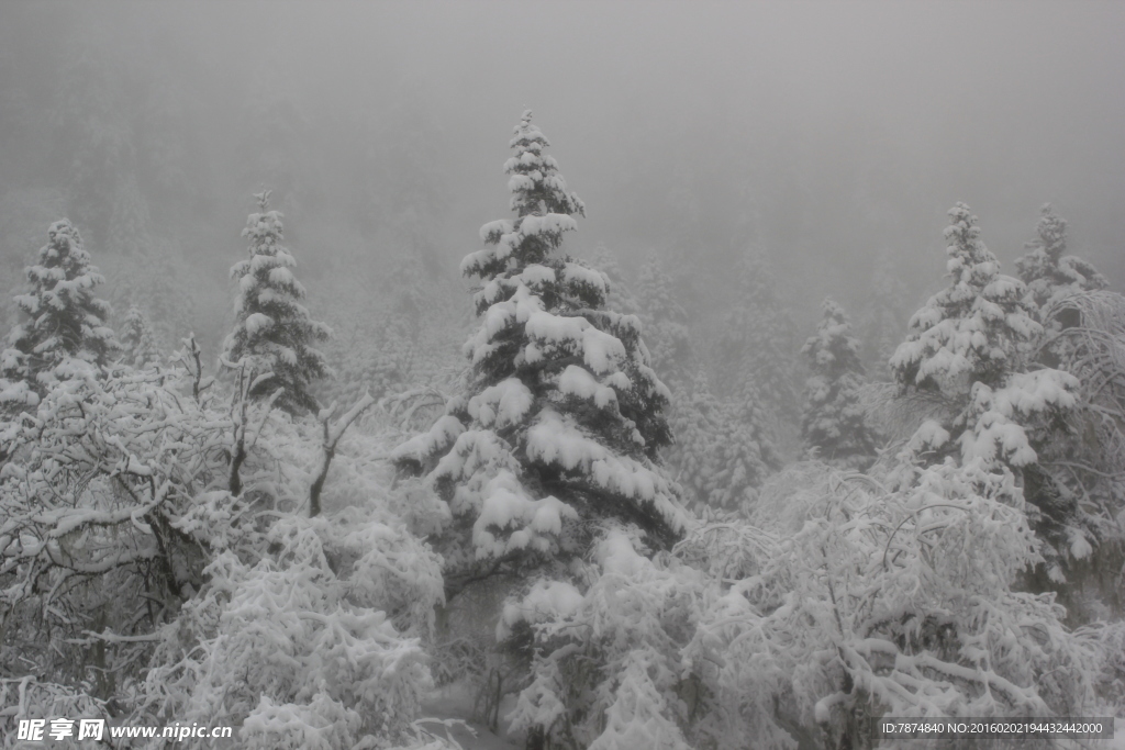 老君沟雪景