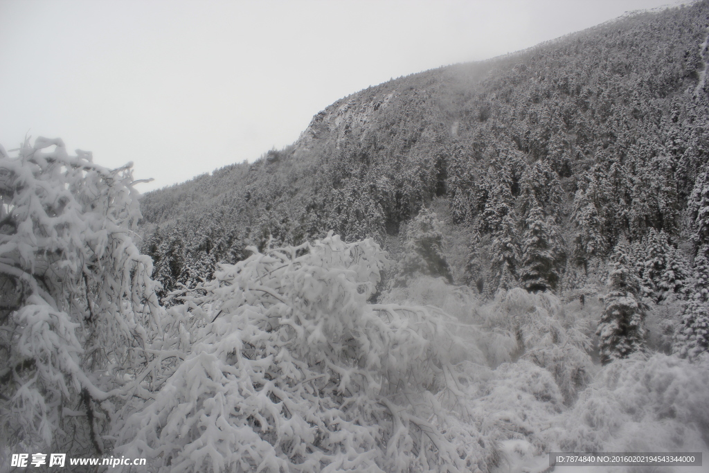 老君沟雪景