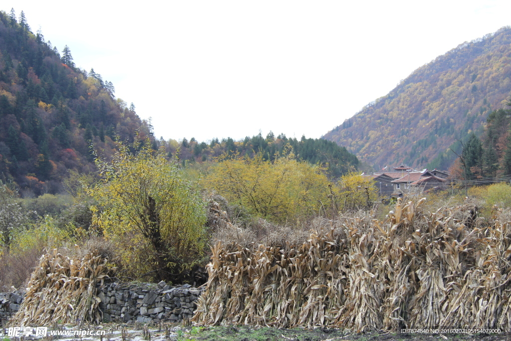 四川黑水 甘孜风光