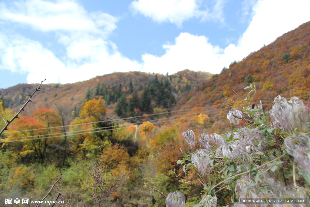 四川黑水 甘孜风光