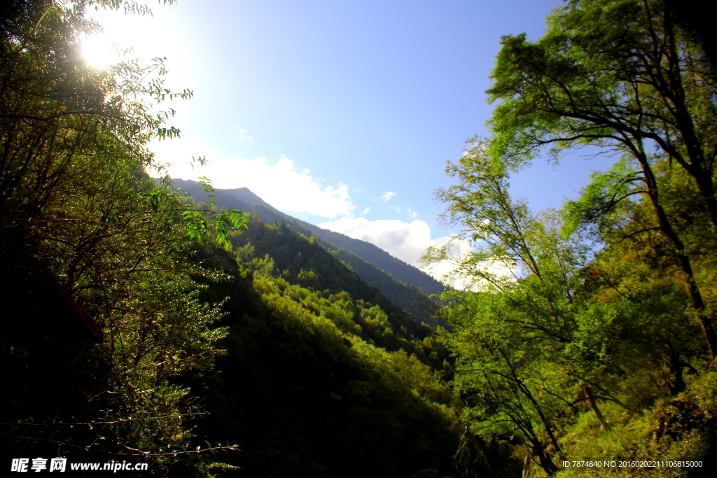 九顶山风光