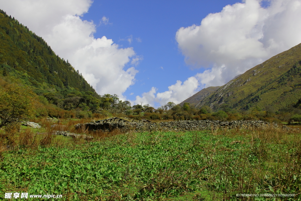 九顶山风光