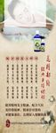 克丽缇娜 精油