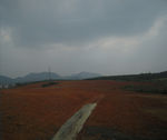 红土地