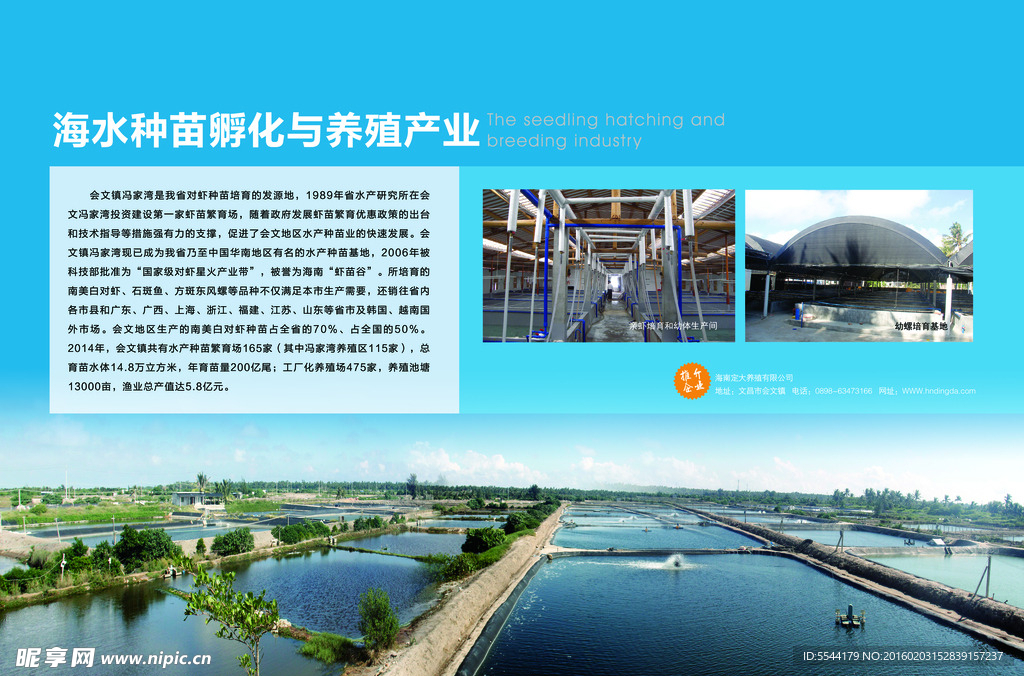 文昌 特色 海产品