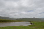 河流岸边