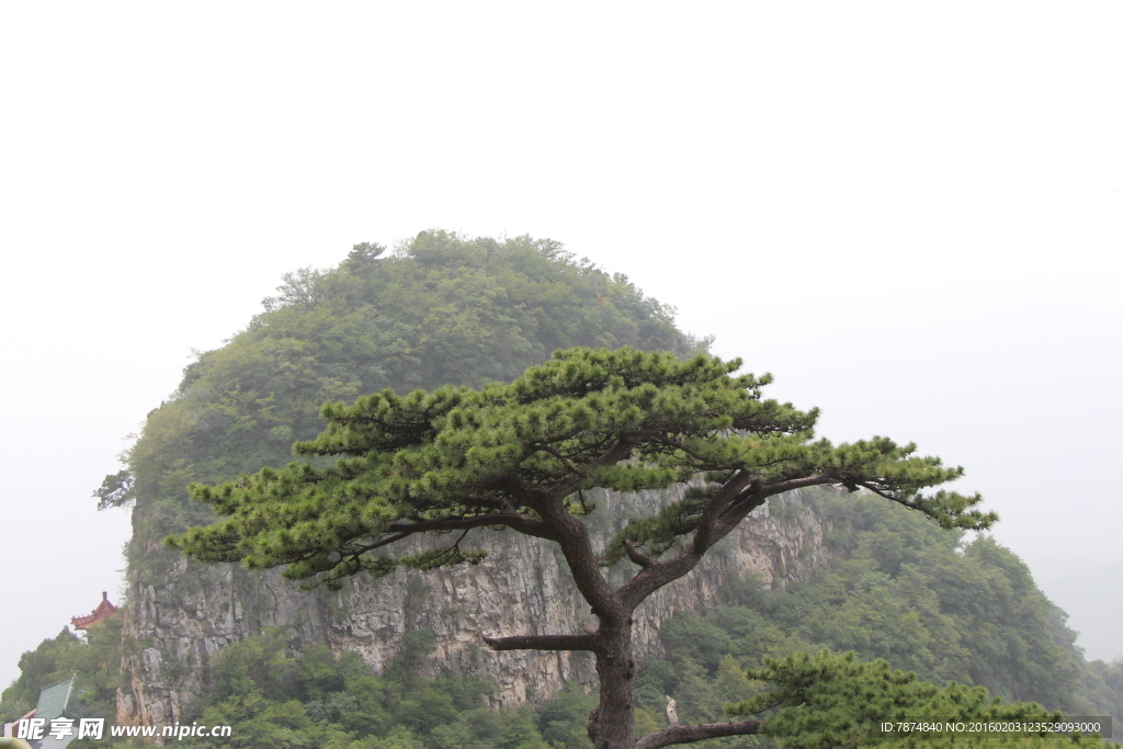 圣莲山风光