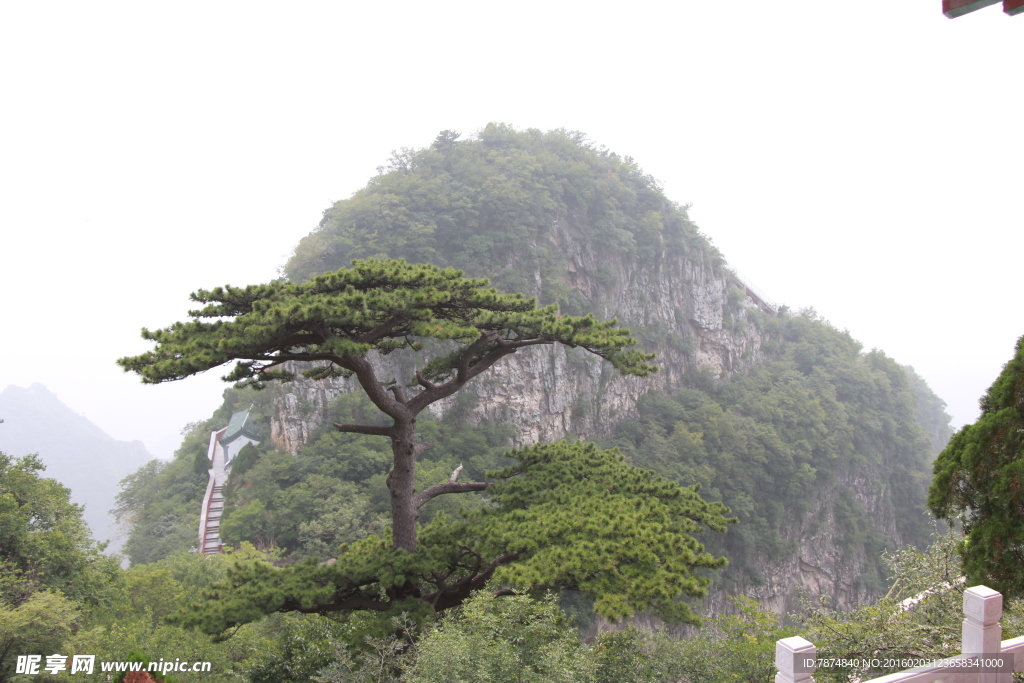 圣莲山风光