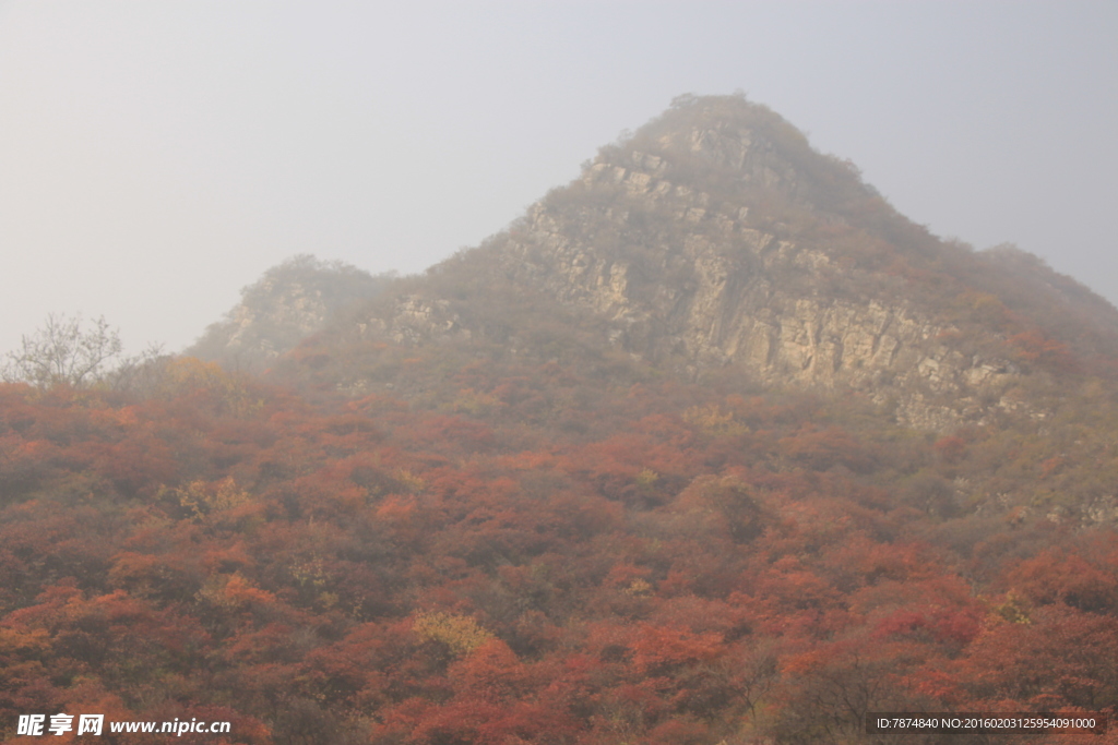 坡峰岭红叶