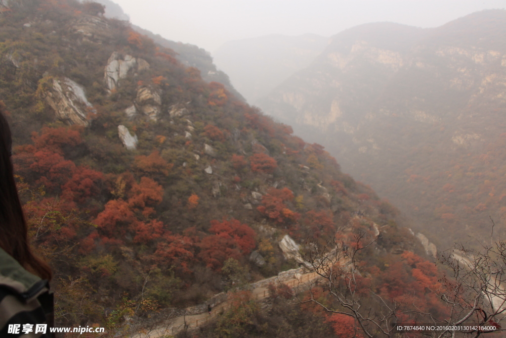 坡峰岭红叶