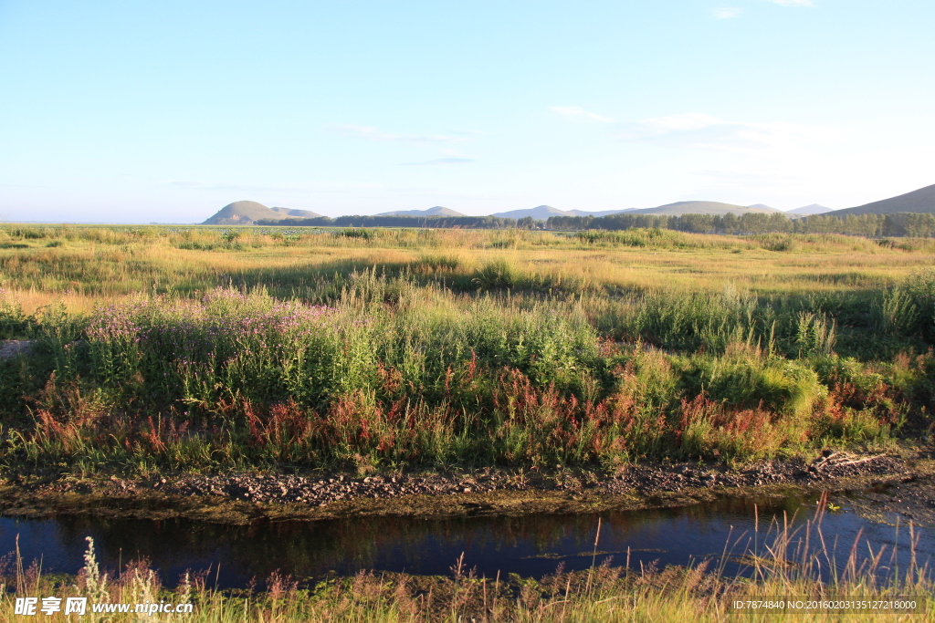 草原风光