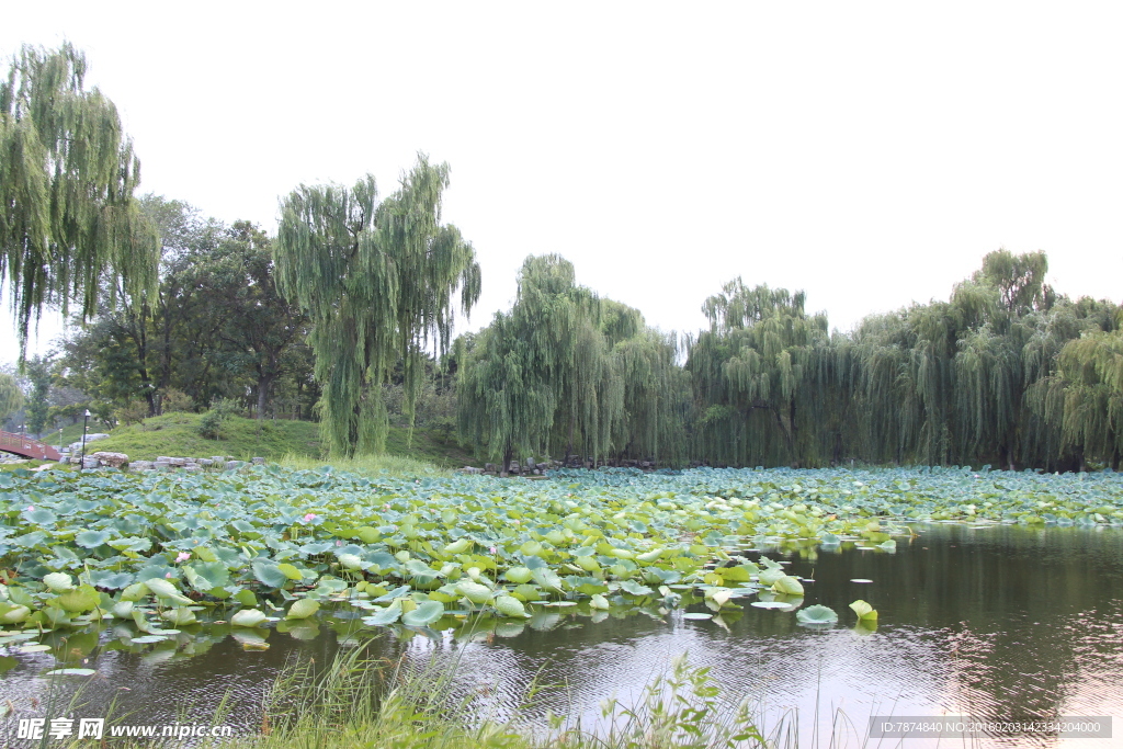 圆明园