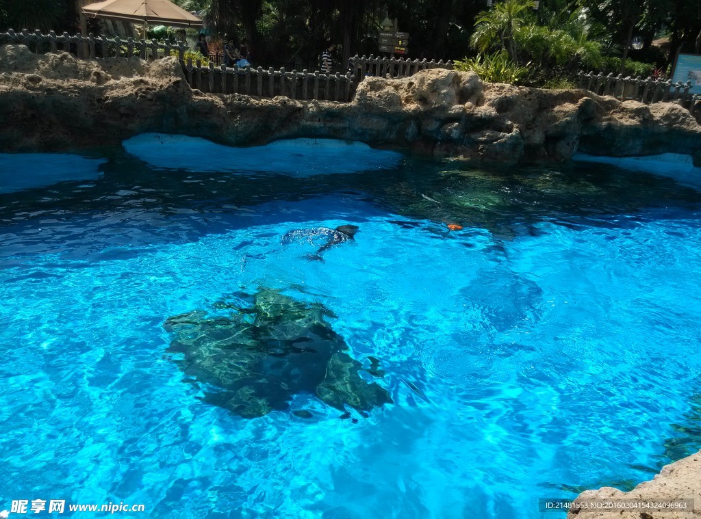 海洋公园