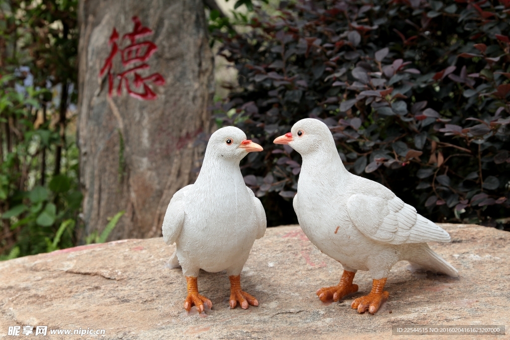 小区摄影