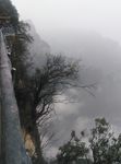 张家界天门山森林公园