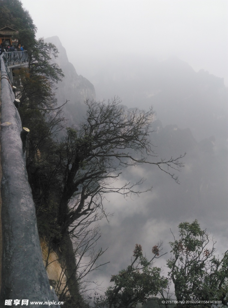 张家界天门山森林公园