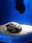 水族馆