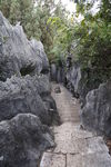 石林风景