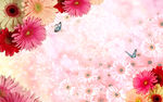 红色菊花蝴蝶背景墙
