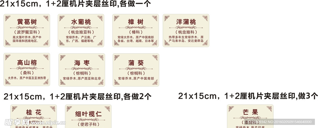 树牌