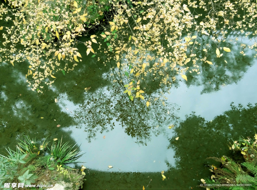 房湖公园