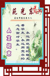 板面