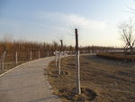 小路