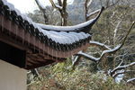 冰钓