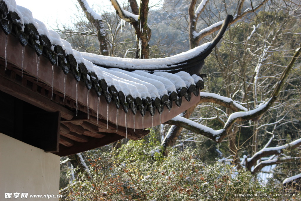 冰钓