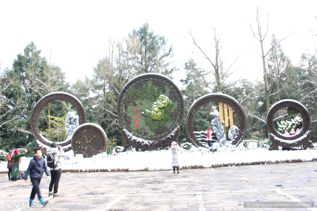 雪景