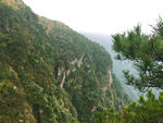 青山