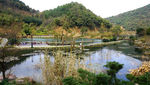 桃花岭公园一景