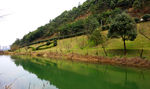 桃花岭公园湖畔