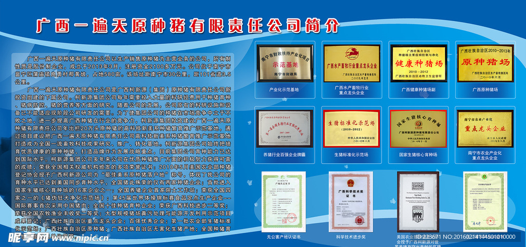 公司板报