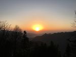 夕阳红