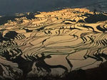 元阳梯田