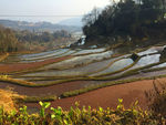 梯田