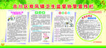 卫生协管宣传栏