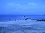 山东 威海