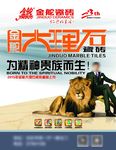 金舵瓷砖