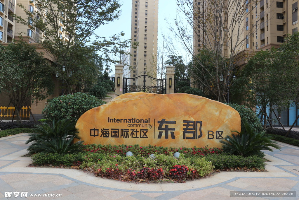 中海国际