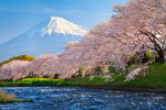 富士山下