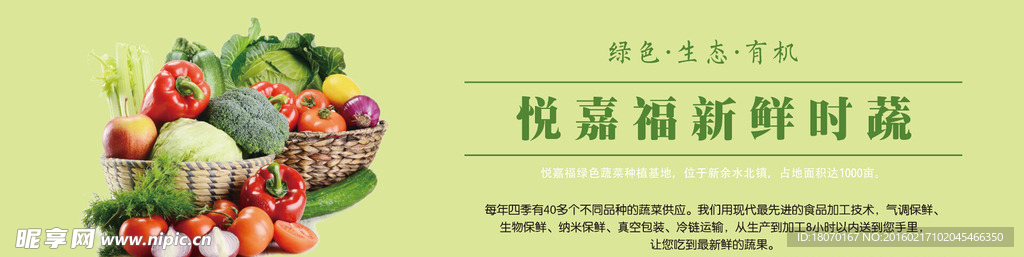 绿色蔬菜   海报