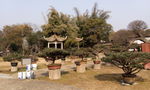 中国传统园林盆景
