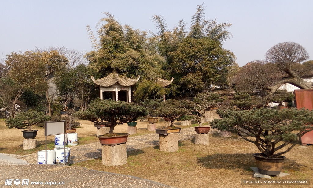 中国传统园林盆景